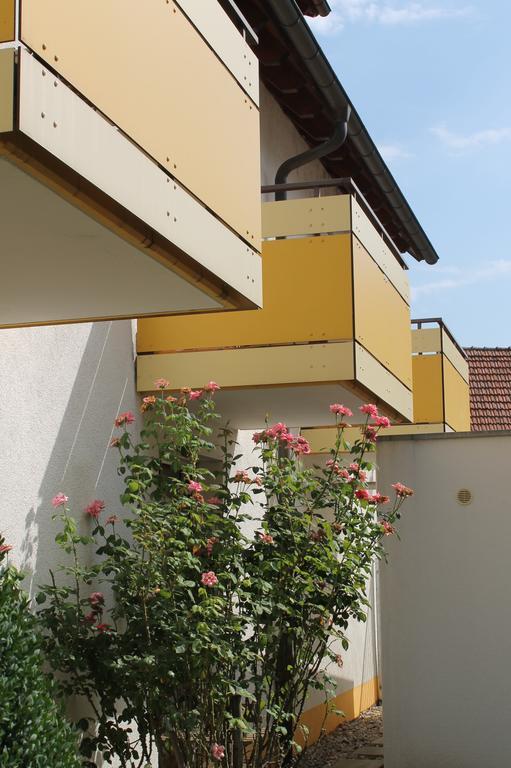 Hirschengarten Hotel Freiburg im Breisgau Kültér fotó